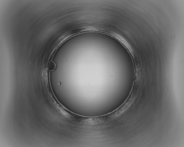 X0000113360906200909151233