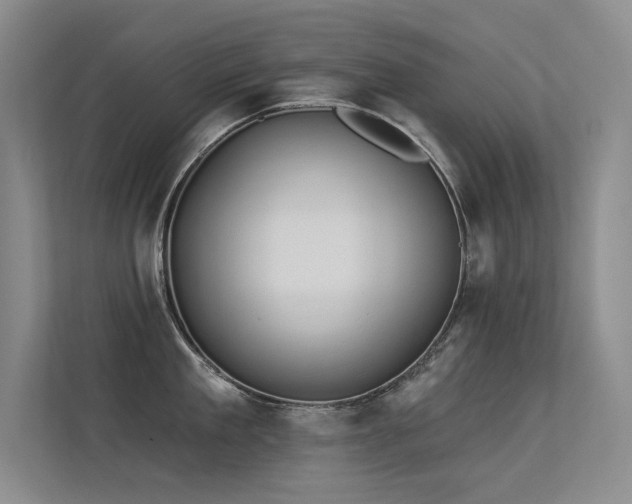 X0000113360909200909151233