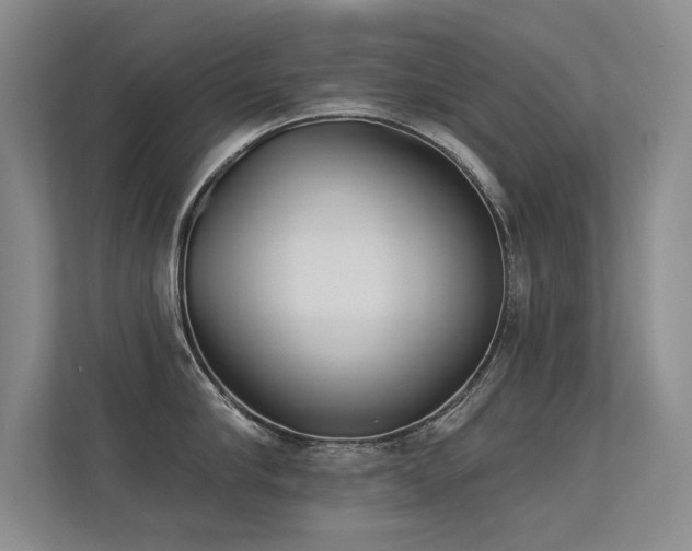 X0000113360910200909151233