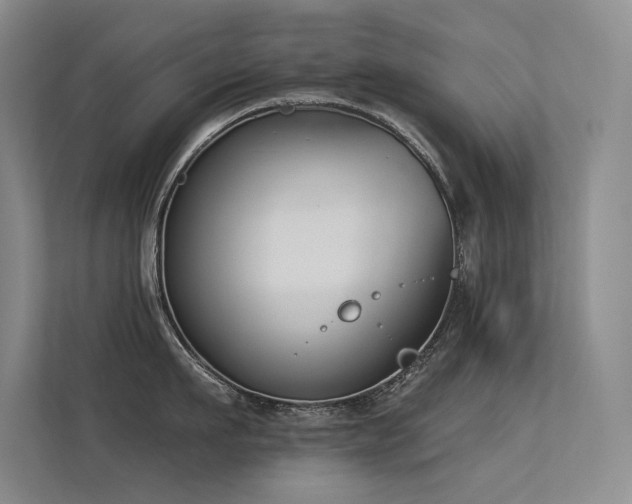 X0000113360911200909151233