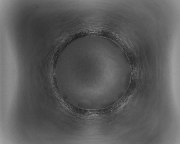 X0000113360913200909151232