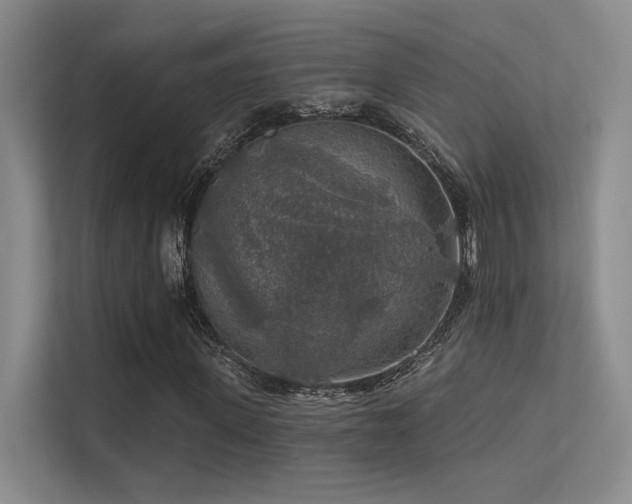 X0000113360915200909151232