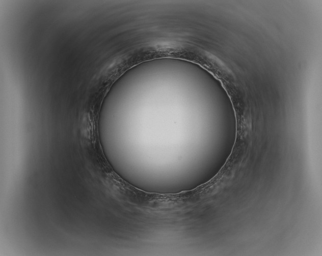X0000113360917200909151232