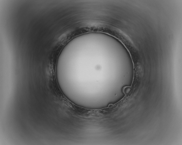 X0000113360918200909151232