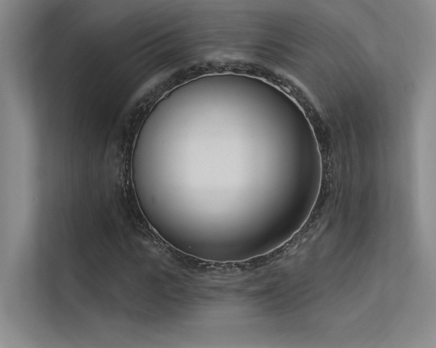 X0000113360919200909151232