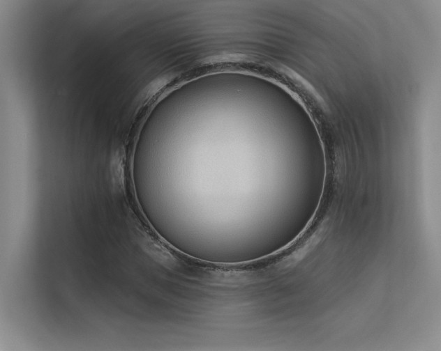 X0000113360921200909151232