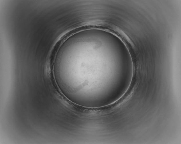 X0000113360923200909151232
