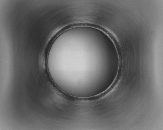 X0000113360925200909151232