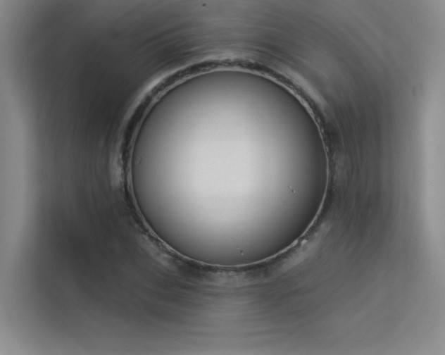 X0000113360927200909151232