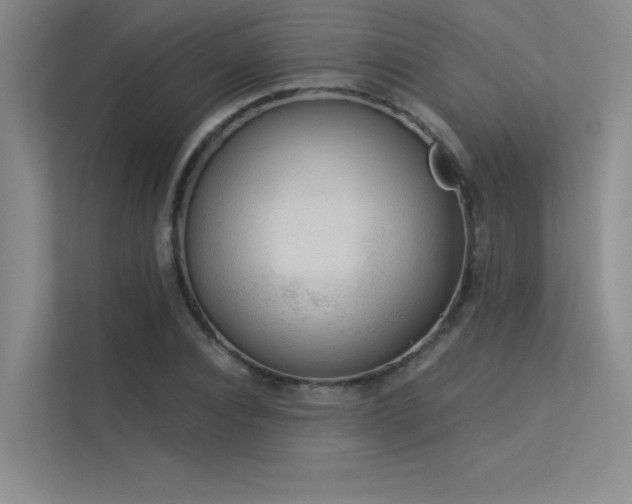 X0000113360928200909151232