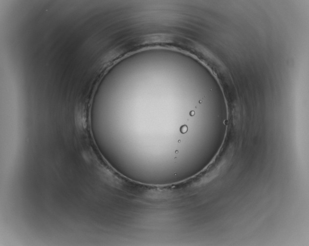 X0000113360929200909151232