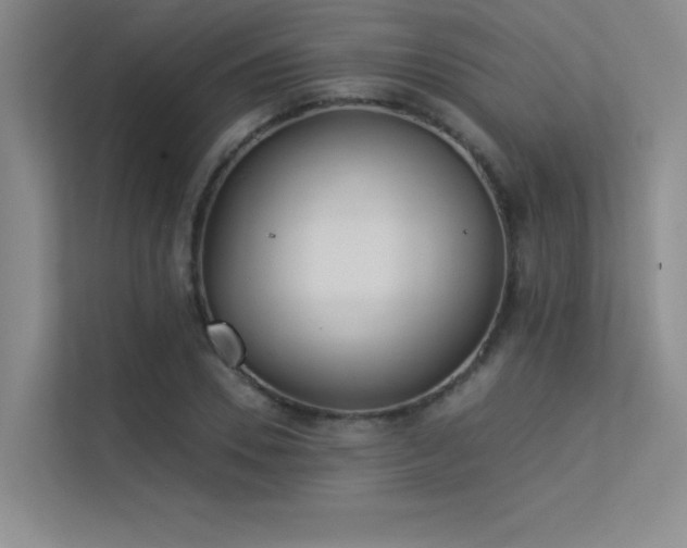 X0000113360930200909151232