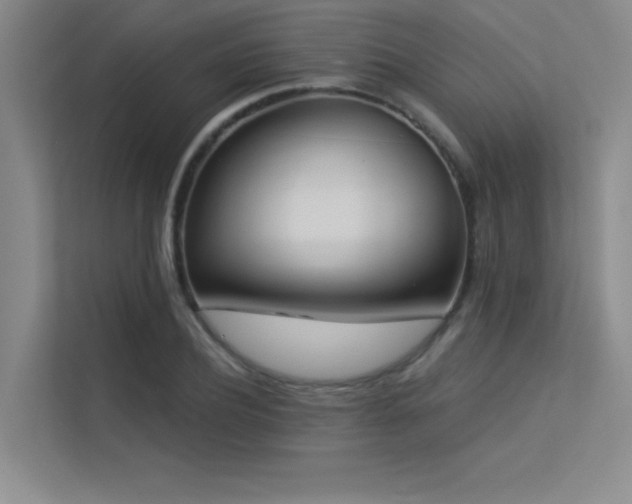 X0000113360932200909151232