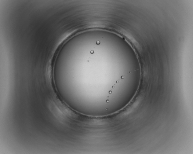 X0000113360933200909151232