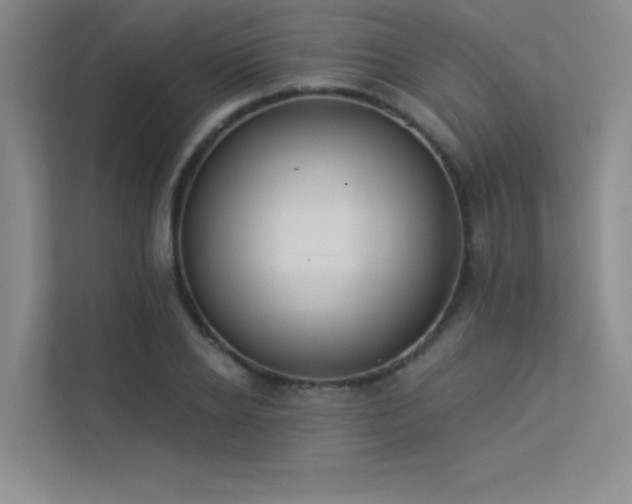 X0000113360934200909151232