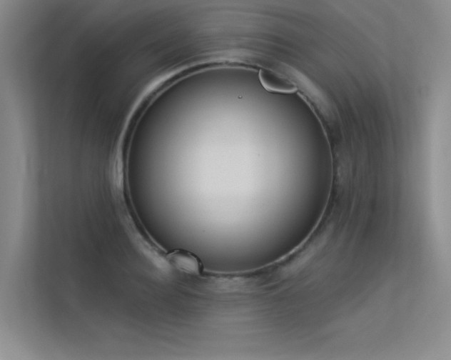 X0000113360940200909151232