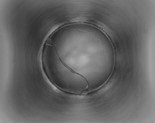 X0000113360941200909151232