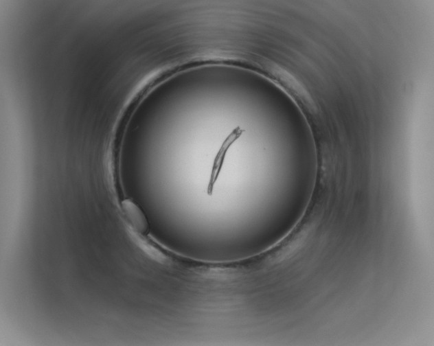 X0000113360942200909151232