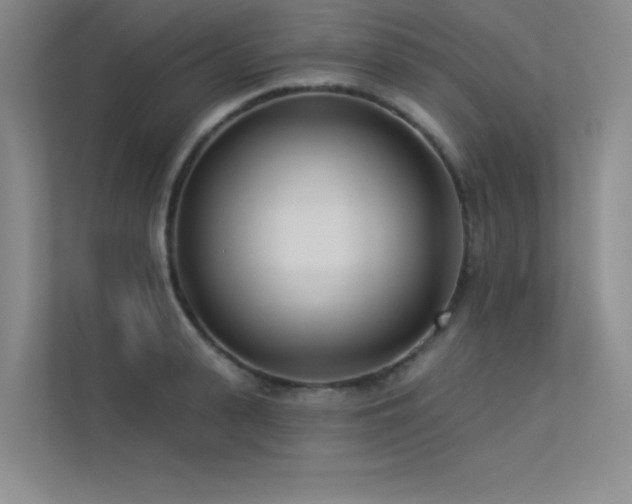 X0000113360943200909151232
