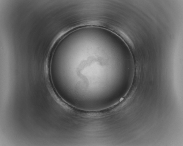 X0000113360944200909151232