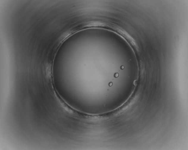 X0000113360945200909151232