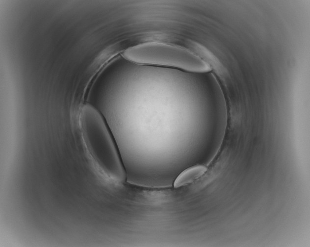 X0000113360946200909151232