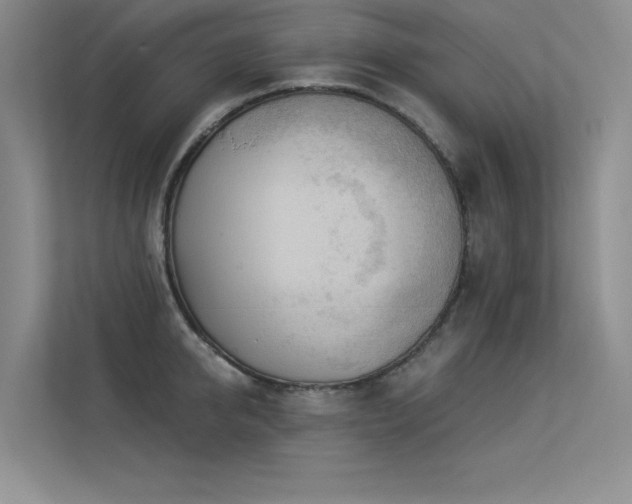 X0000113360950200909151232