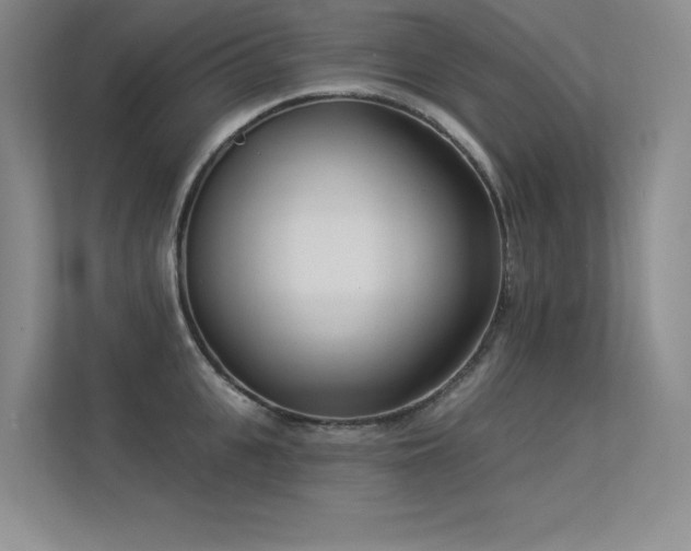 X0000113360951200909151232