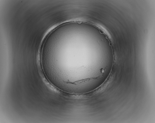 X0000113360952200909151232