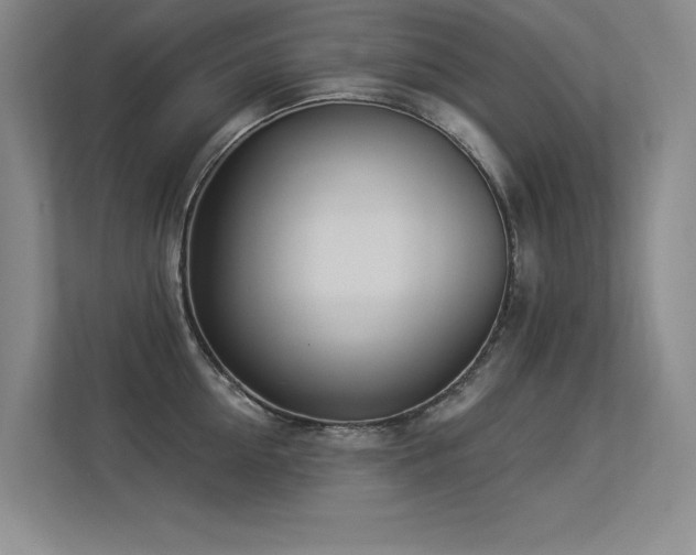 X0000113360954200909151232