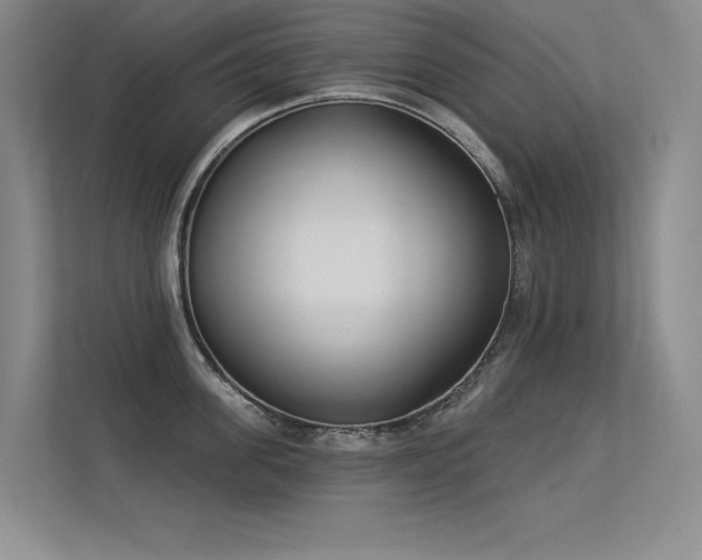 X0000113360955200909151232