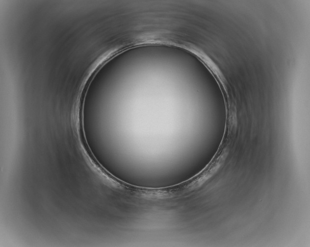 X0000113360957200909151233