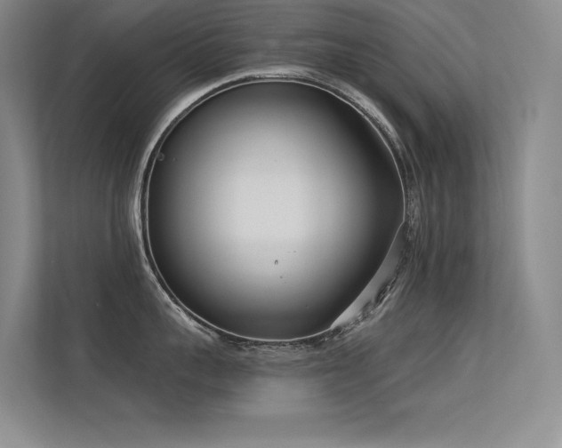 X0000113360959200909151233