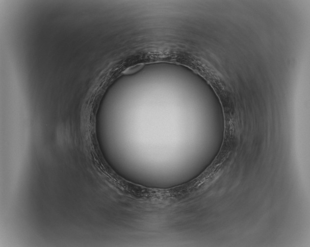 X0000113360961200909151232