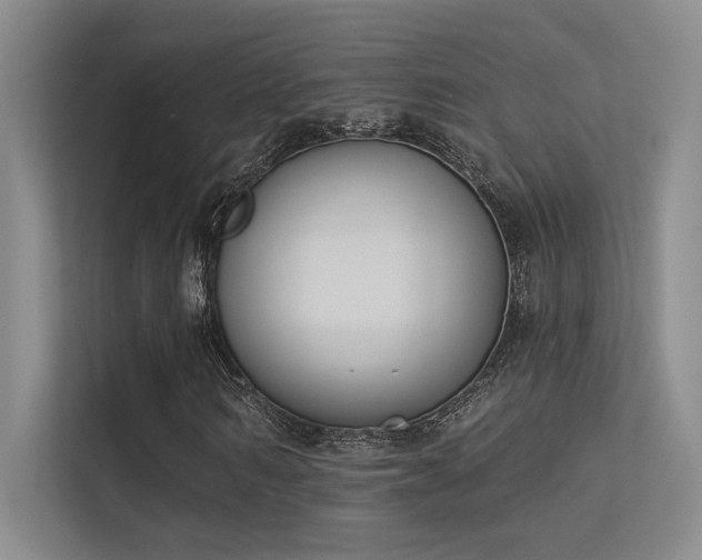 X0000113360962200909151232
