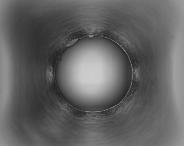 X0000113360963200909151232