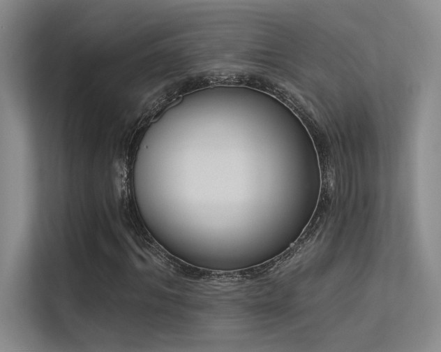 X0000113360964200909151232