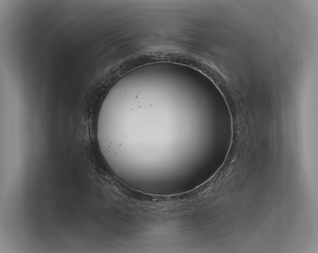 X0000113360965200909151232