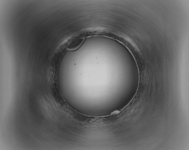 X0000113360967200909151232
