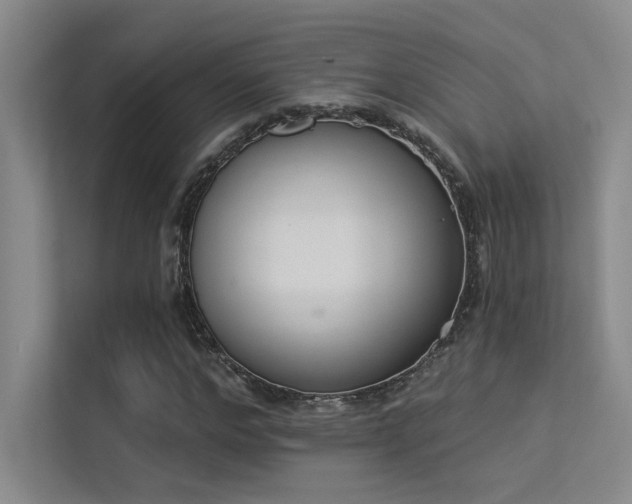 X0000113360968200909151232