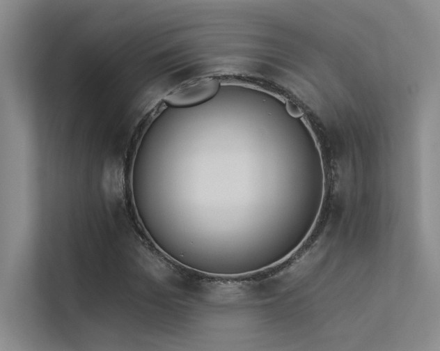 X0000113360969200909151232