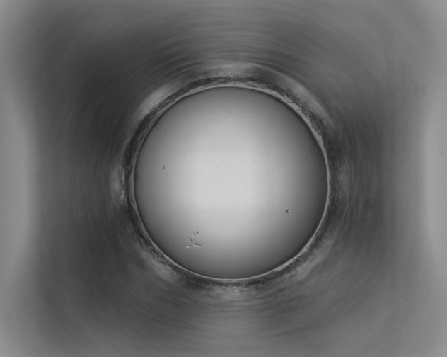 X0000113360970200909151232