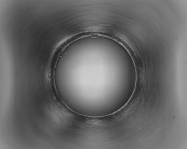 X0000113360971200909151232