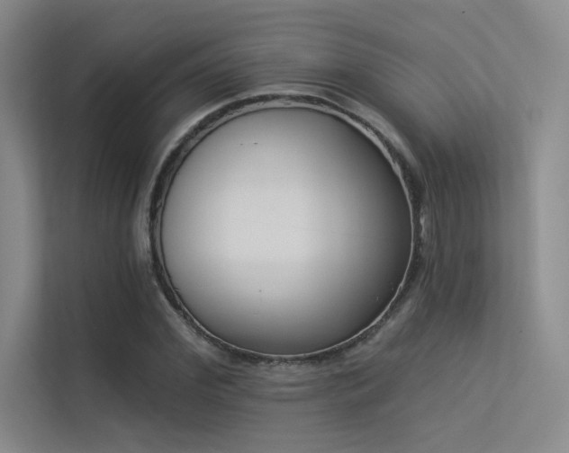 X0000113360972200909151232