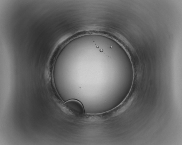 X0000113360974200909151232