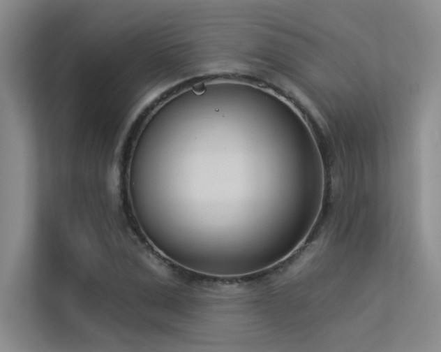 X0000113360975200909151232