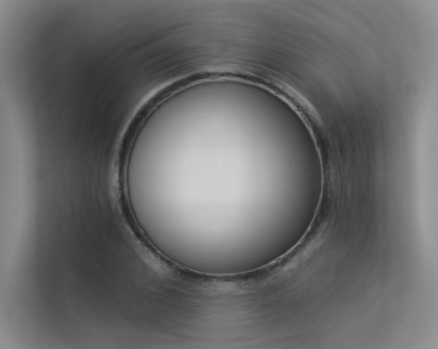 X0000113360976200909151232