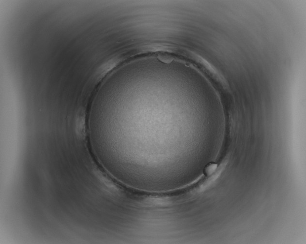 X0000113360977200909151232