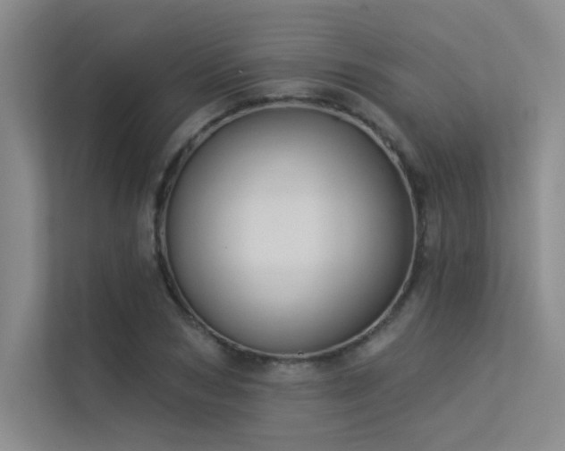 X0000113360978200909151232
