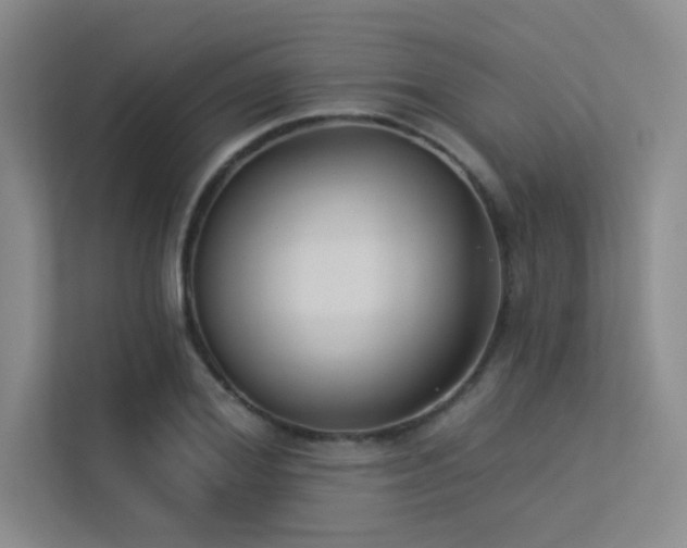 X0000113360980200909151232